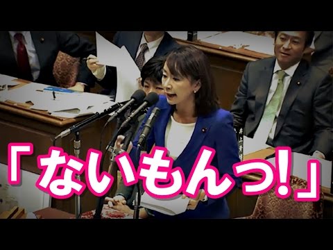 山尾志桜里が文春砲に狙われた理由はもしかして・・・