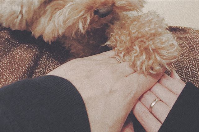 岸本セシルが結婚！！彼氏は？