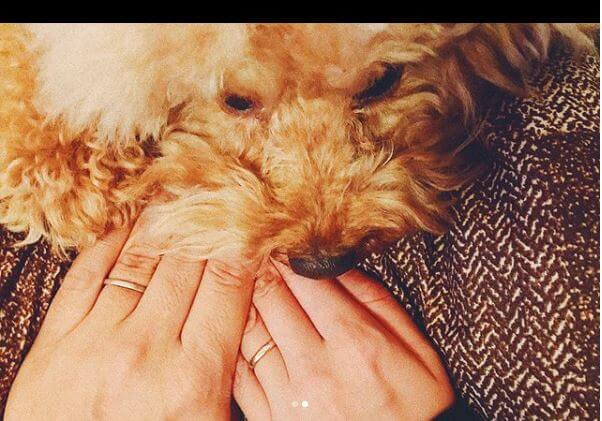 岸本セシルが結婚！！彼氏は？