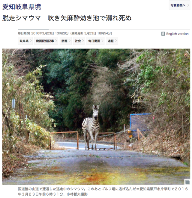 シマウマ脱走事件の犯人ツイッターアカウントがこちら