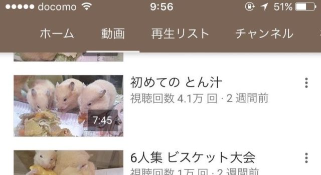 ハムハム探検隊が逮捕!顔バレで住所は?