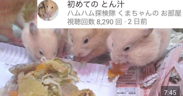 ハムハム探検隊が逮捕!顔バレで住所は?