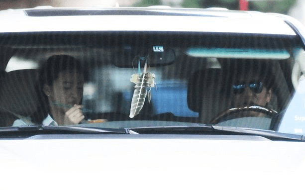 Kokiと木村拓哉のツーショット画像はこちら