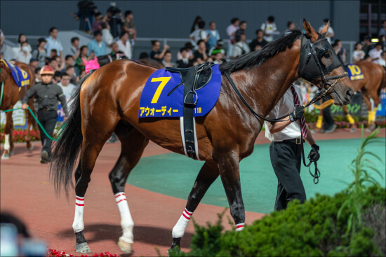 アウォーディー 死亡！ネットの声は