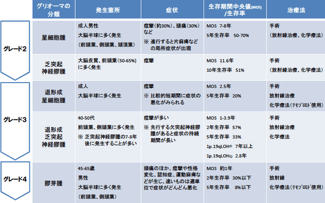 女子レスラーRay 死去!別名リン・バイロンが天国へ【素顔画像あり】
