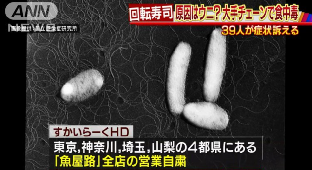 魚屋路 行政処分！食中毒の原因となる腸炎ビブリオか！？