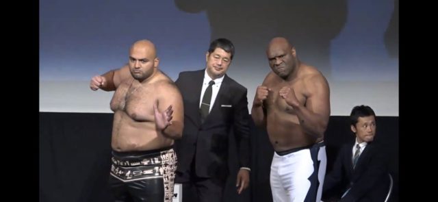 大砂嵐 契約解除理由とこの報道にネットの声は