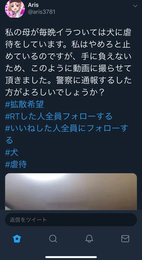 武居知未(たけいともみ)が犬を虐待!動画が炎上し現在保護は完了