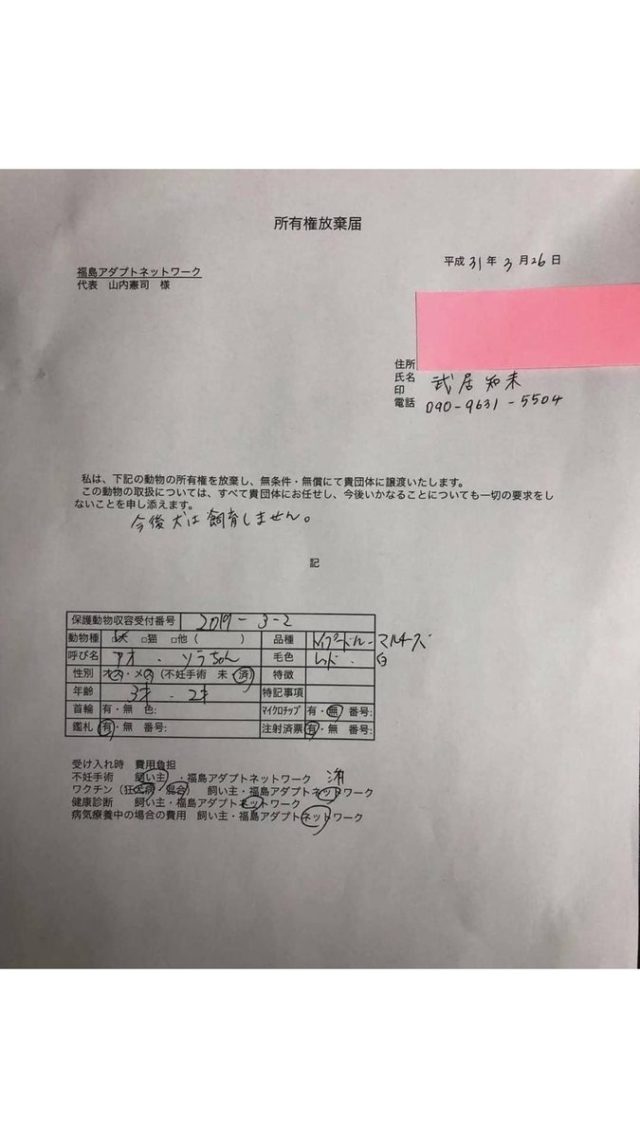 武居知未(たけいともみ)が犬を虐待!動画が炎上し現在保護は完了