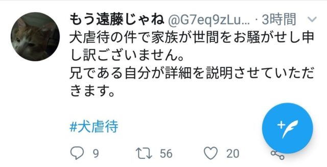 武居知未(たけいともみ)が犬を虐待!動画が炎上し現在保護は完了