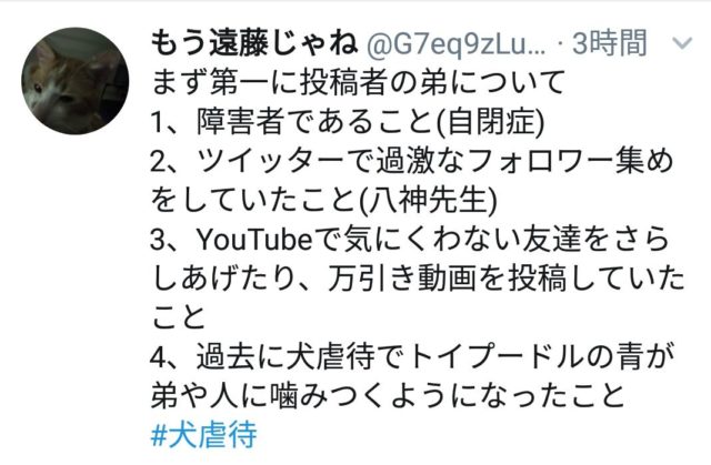 武居知未(たけいともみ)が犬を虐待!動画が炎上し現在保護は完了