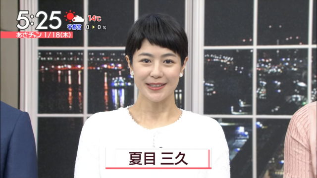 ホラン千秋のギャラの詳細について 弁当が男飯！！結婚はしているの？