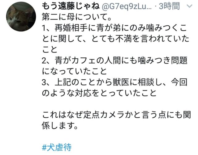 武居知未(たけいともみ)が犬を虐待!動画が炎上し現在保護は完了