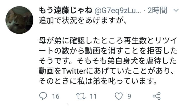 武居知未(たけいともみ)が犬を虐待!動画が炎上し現在保護は完了