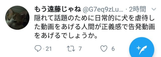 武居知未(たけいともみ)が犬を虐待!動画が炎上し現在保護は完了