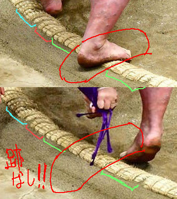 栃ノ心の誤審は誤解!?画像ではかかとは着いていた!?
