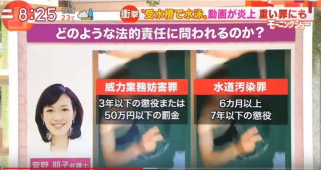 マンション受水槽で泳いだゆうきのTikTokアカウントは？