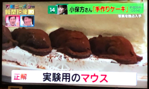 小保方晴子の現在(2019年12月)はケーキ屋でバイト!雀荘画像も。事実婚の相手は誰?