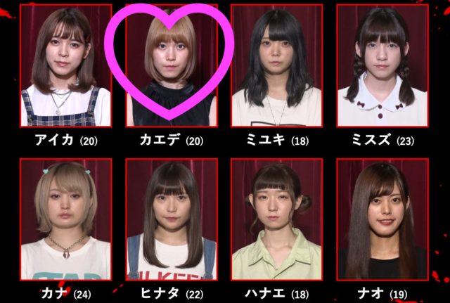 豆柴の大群 売れ行き結果発表!!!クロちゃん解任動画あり