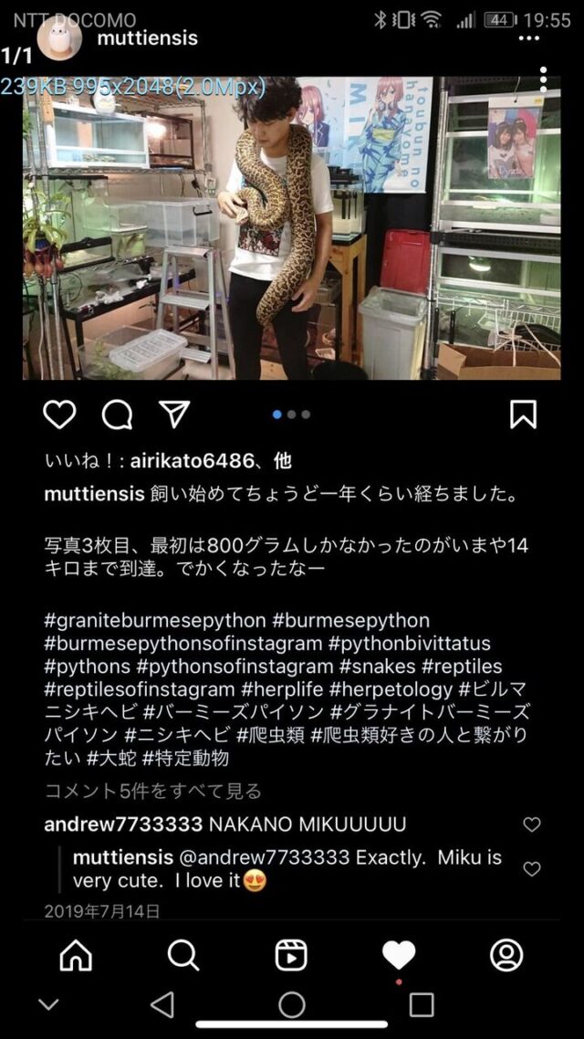 ニシキヘビ 飼い主 インスタ