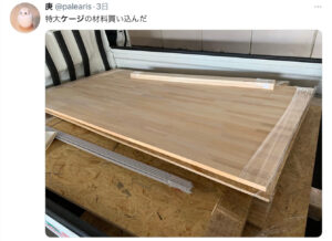 ニシキヘビ 飼い主 インスタ