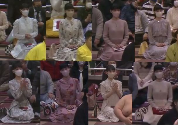 溜席の妖精（タニマチのお嬢さん）バック