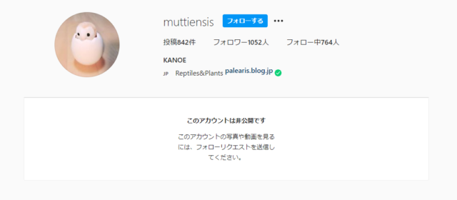 ニシキヘビ 飼い主 インスタ