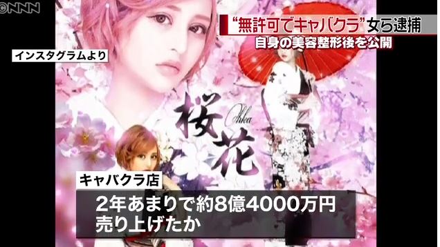 桜井野の花　渚りえ　桜花